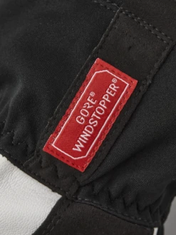 Hestra Windstopper Action Coach 5-finger - Black -Hestra 659 5f99c2fec0 37400 100 2 original