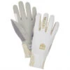 Hestra Women's W.S. Breeze 5 Finger - Gloves